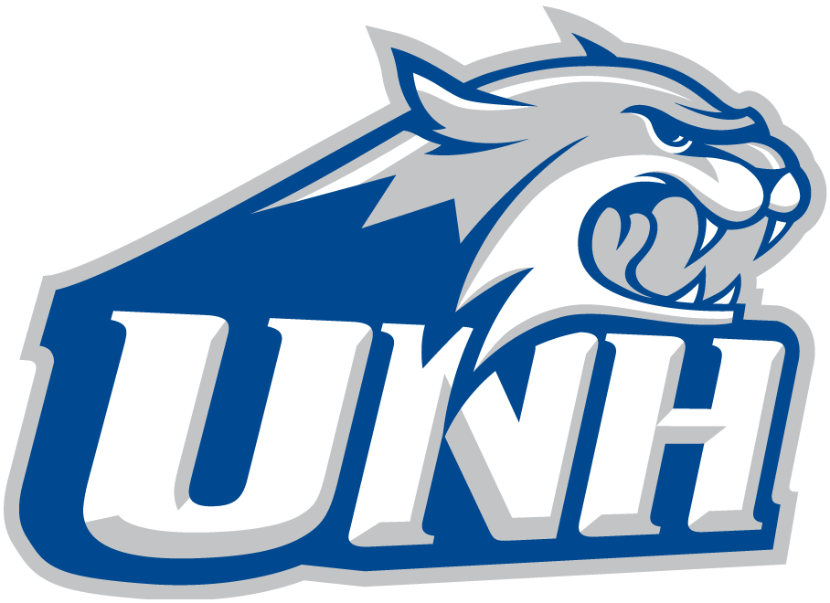 New Hampshire Wildcats 2000-Pres Alternate Logo t shirts iron on transfers v4